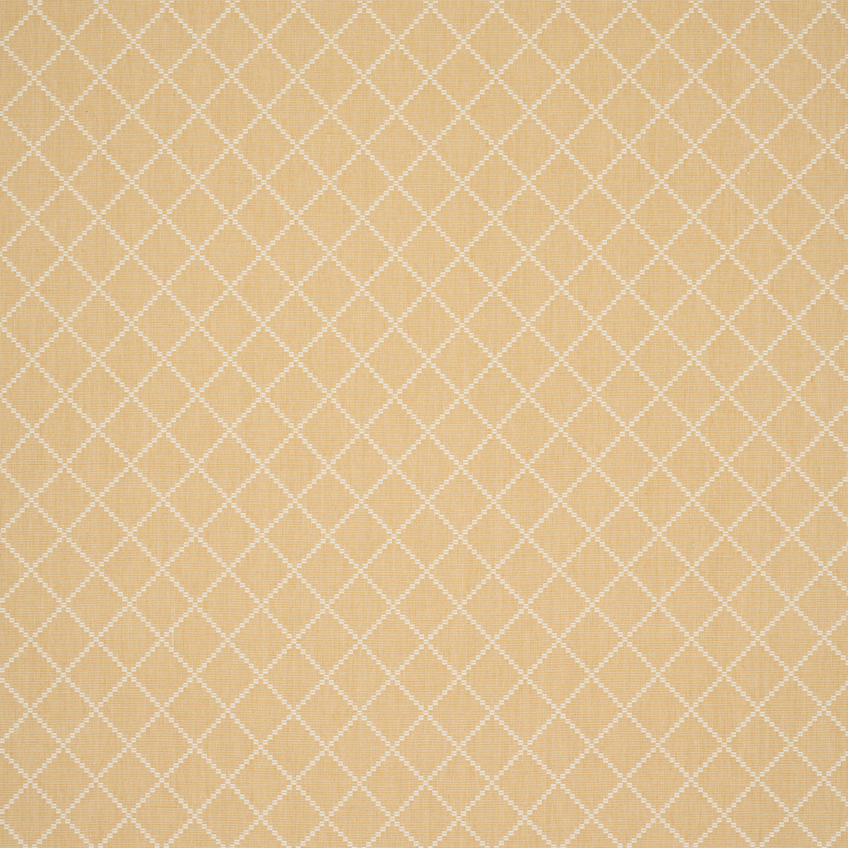 Schumacher | Liam fabric - 87171