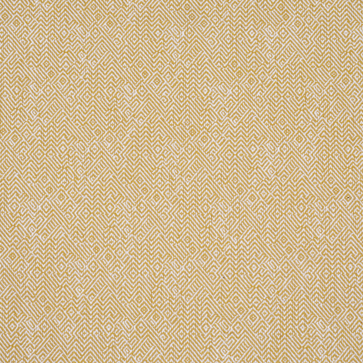 Schumacher | Leona Performance fabric - 87633
