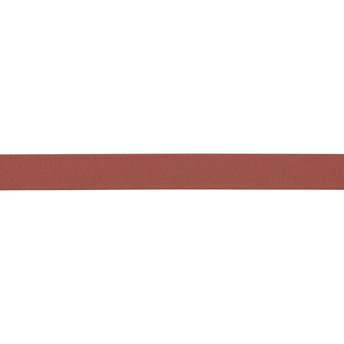 Schumacher | Frazer Narrow Leather Trim fabric - 87776