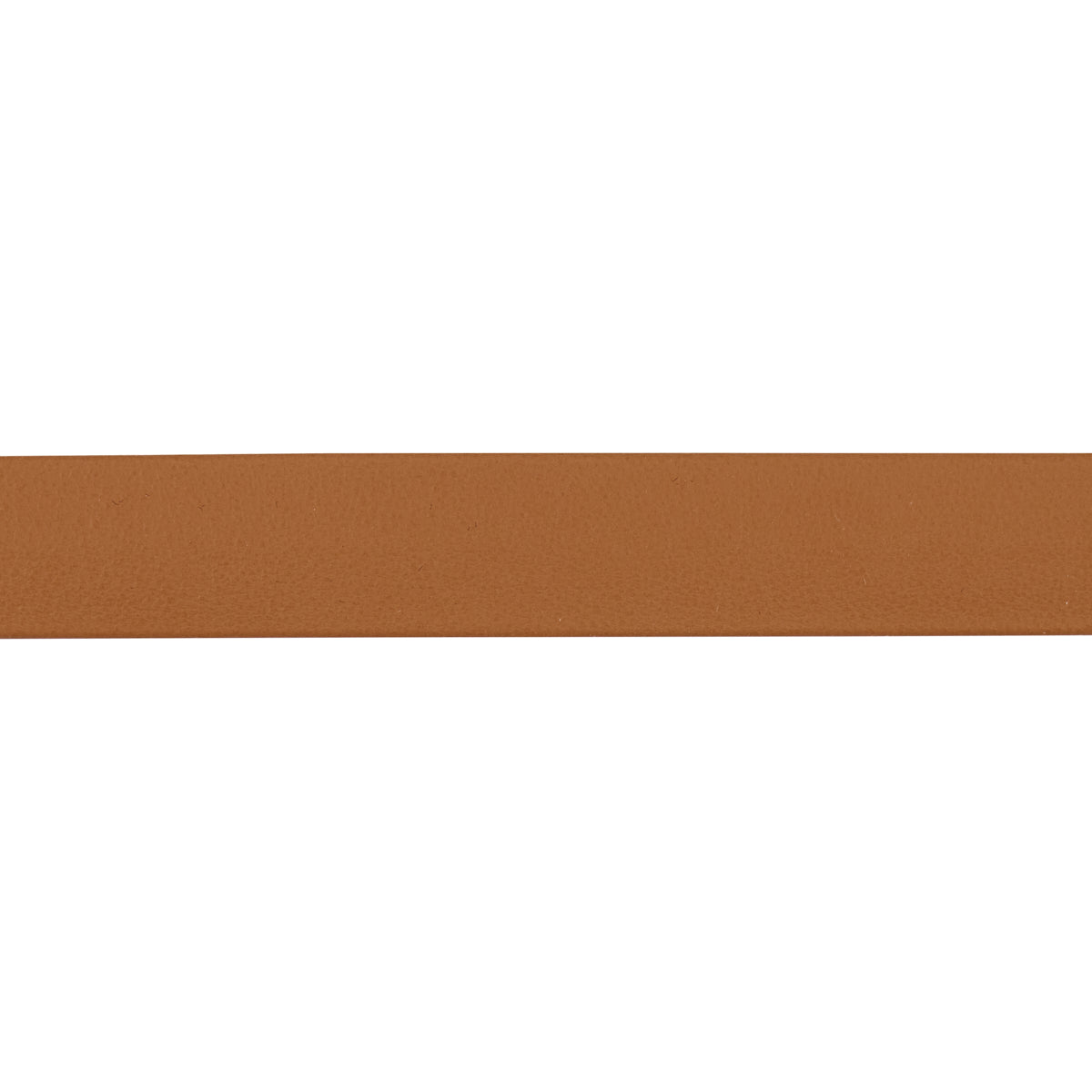 Schumacher | Frazer Medium Leather Trim fabric - 87783