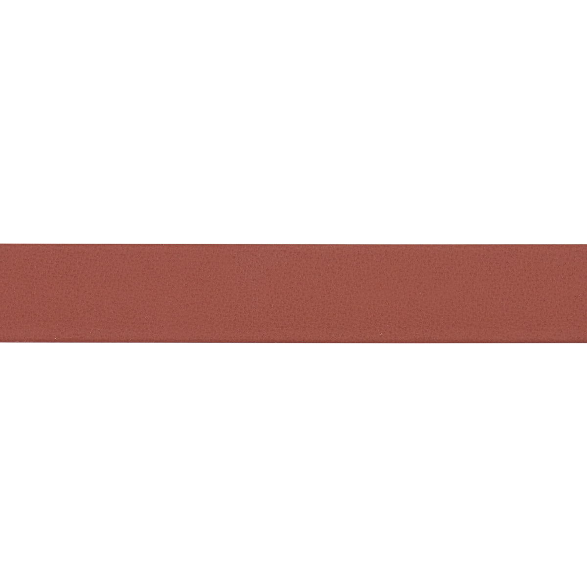 Schumacher | Frazer Medium Leather Trim fabric - 87786