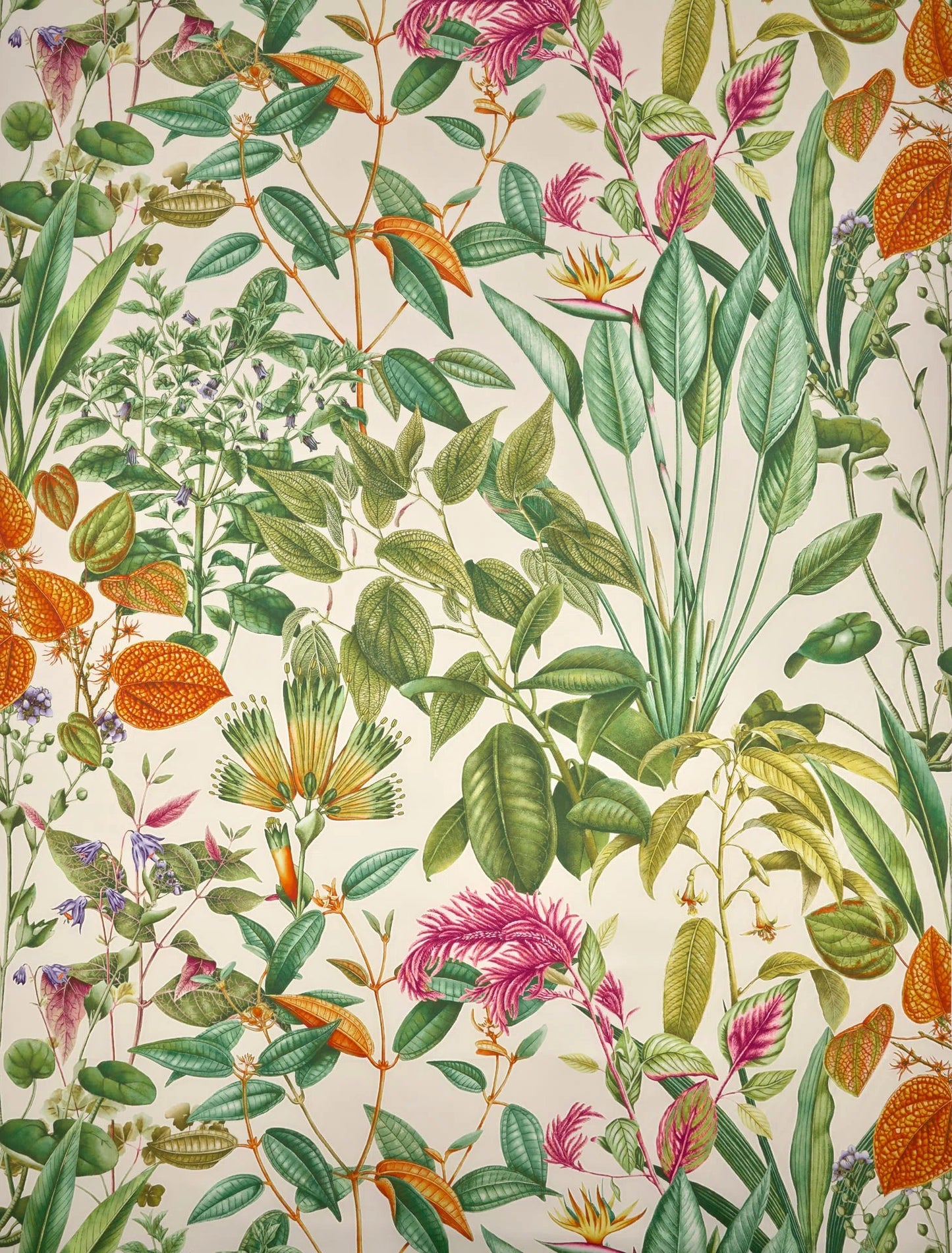 Pierre Frey Fantaisie tropicale - Végétal