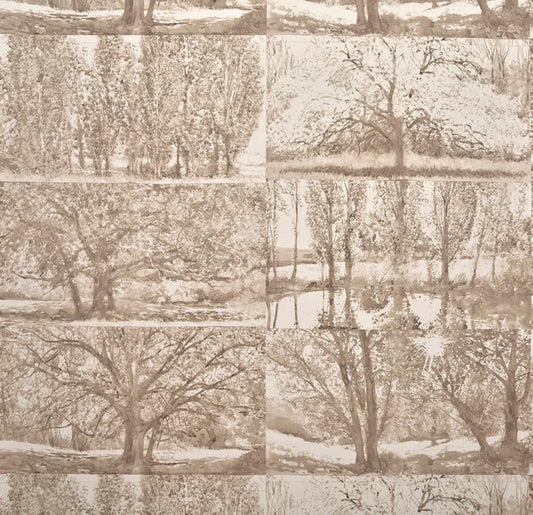 Pierre Frey Arbres Et Sous Bois - Bouleau