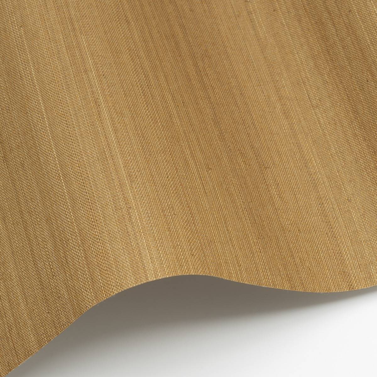Abaca - ABA20
