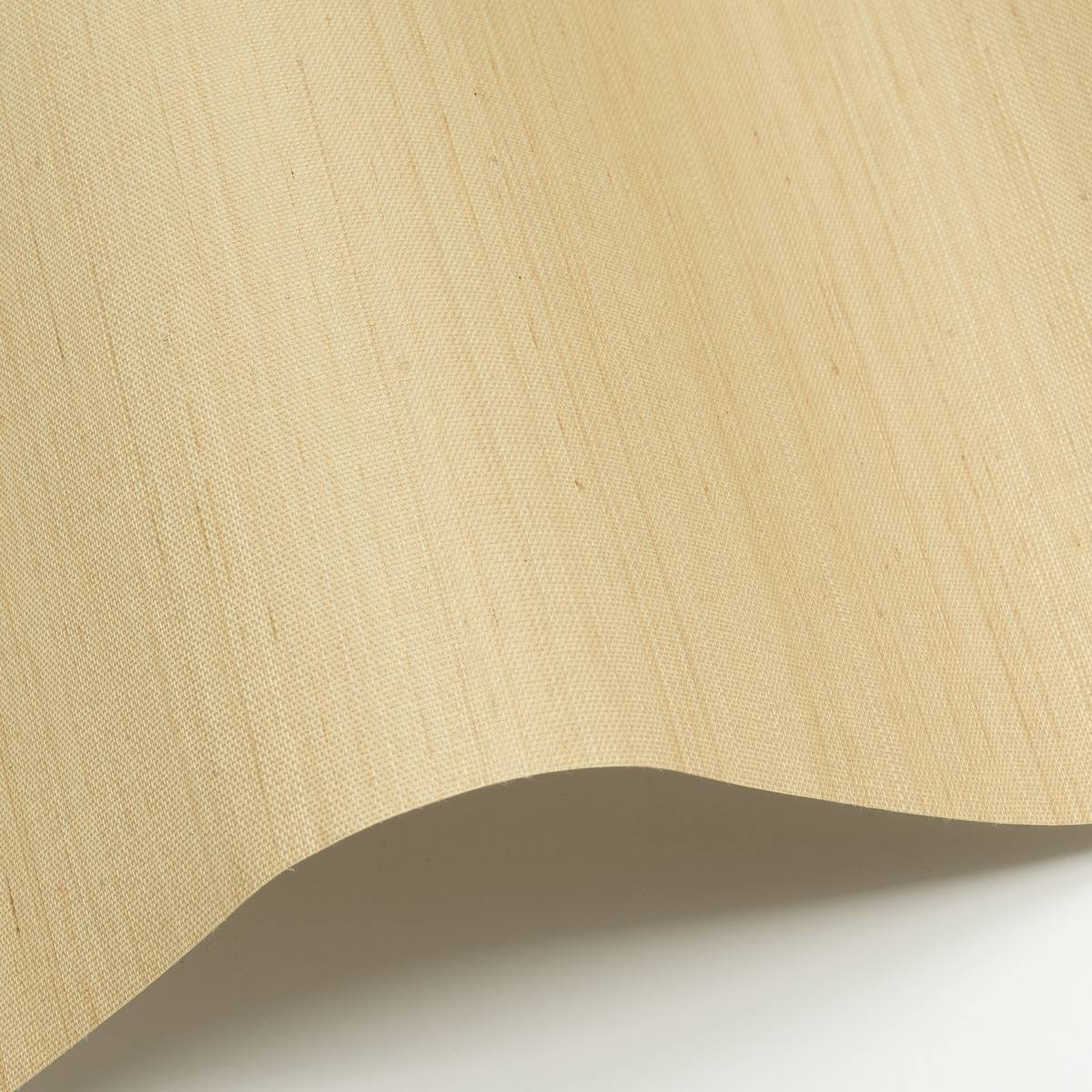 Abaca - ABA21