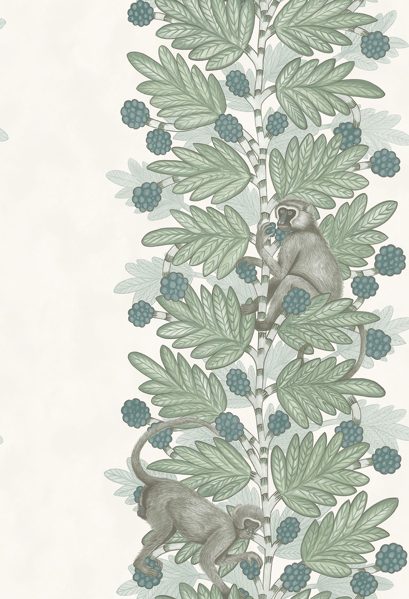 Cole & Son Acacia - Duck Egg & Print room Blue on White