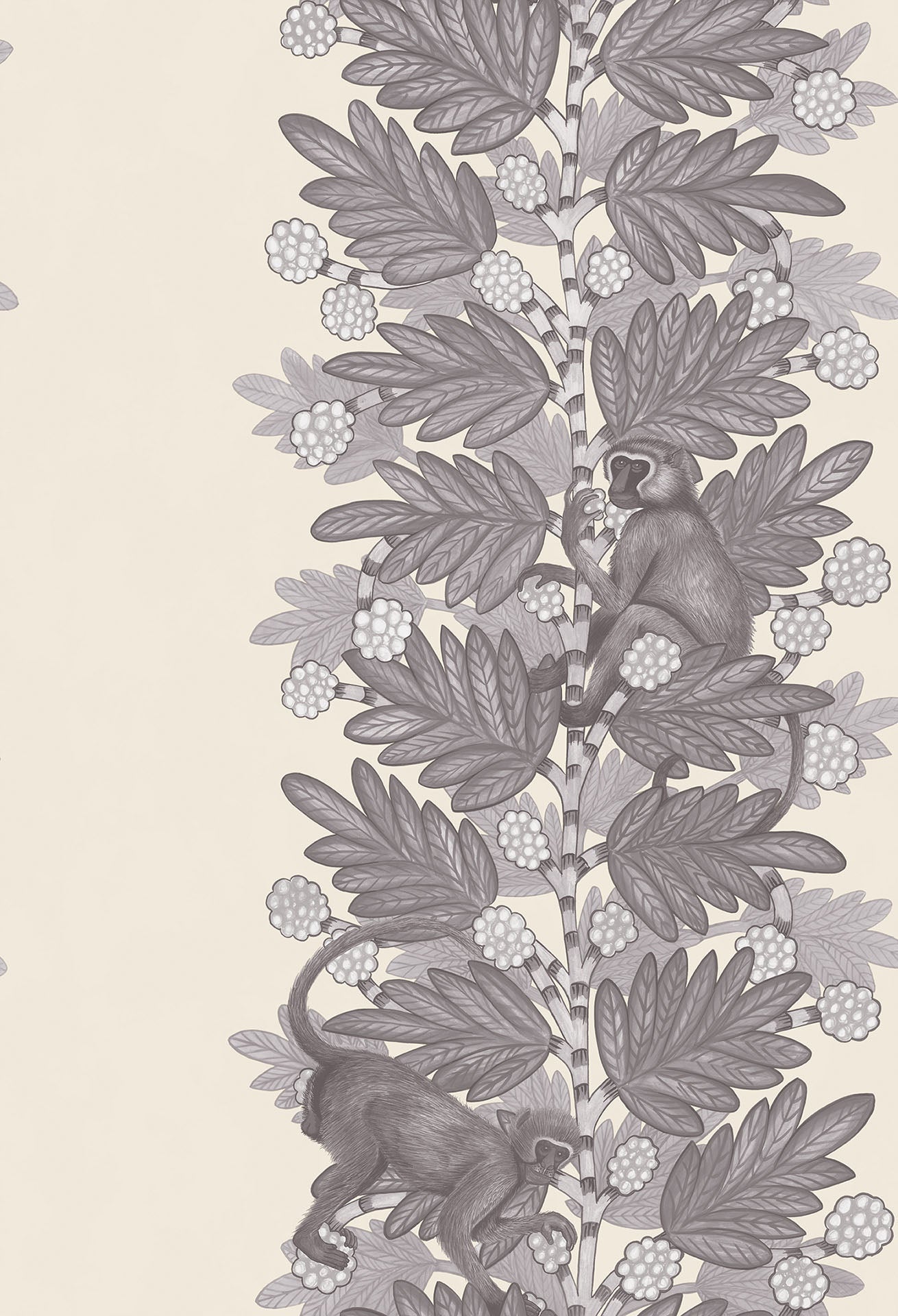 Cole & Son Acacia - Soot & Snow on Parchment