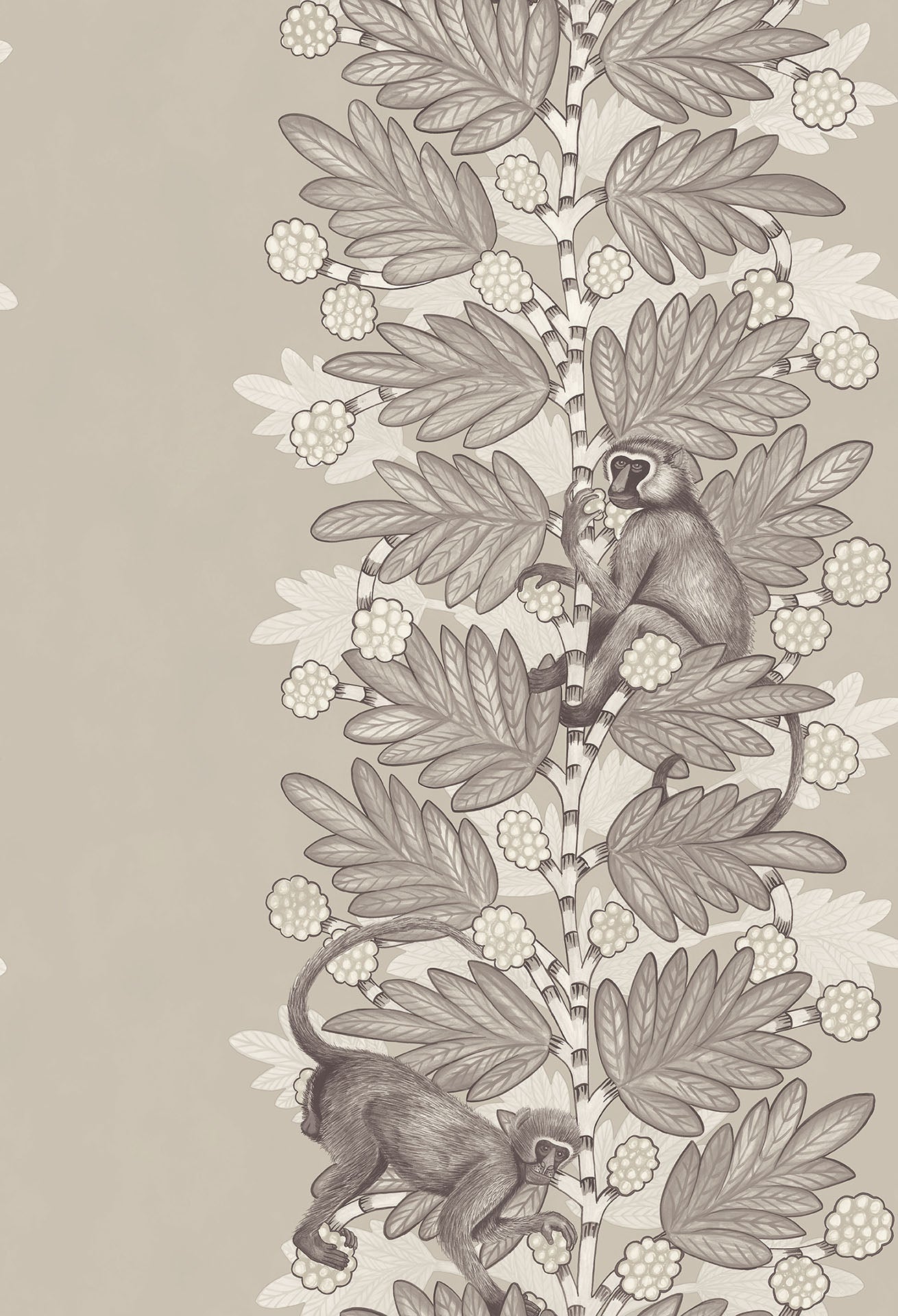 Cole & Son Acacia - Taupe & White on Stone