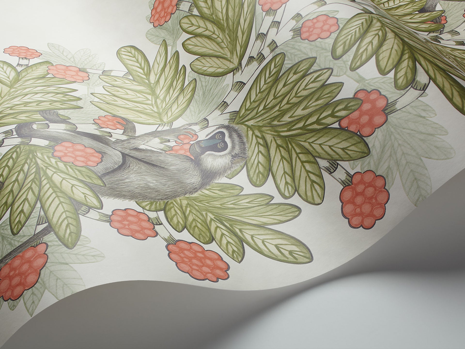 Cole & Son Acacia - interior