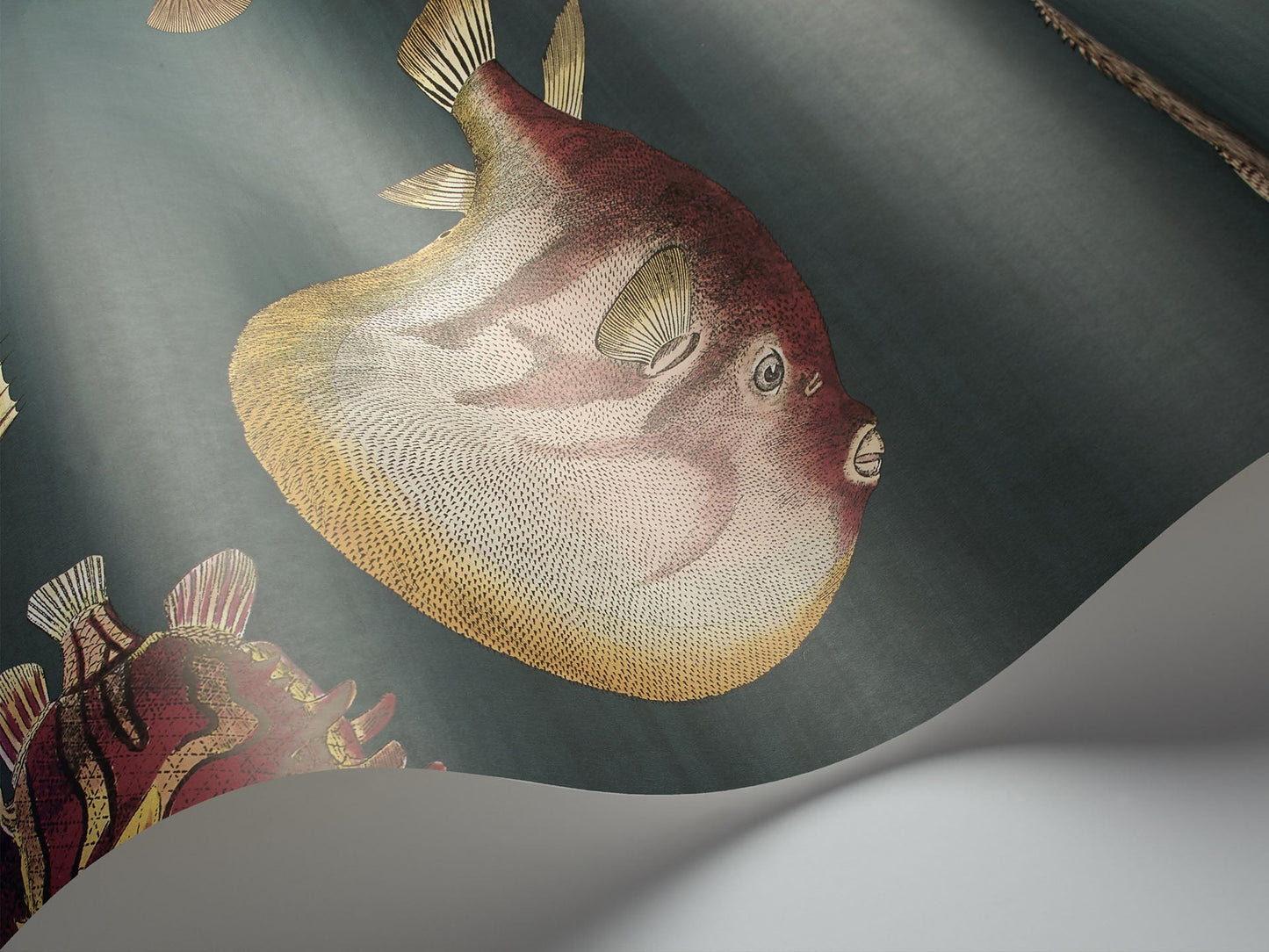 Cole & Son Acquario - interior