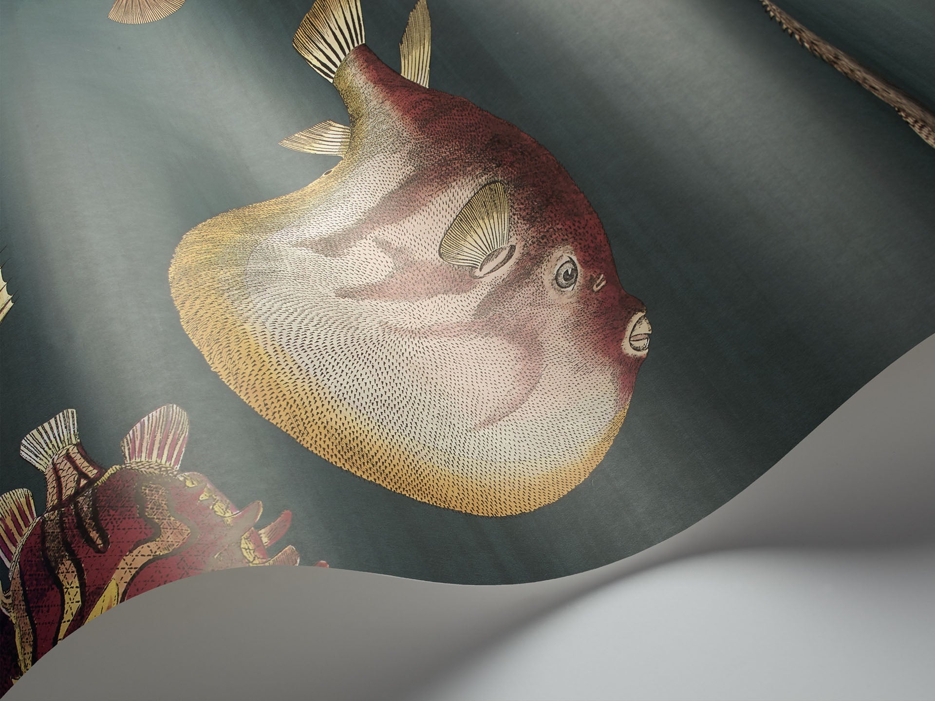 Cole & Son Acquario - interior