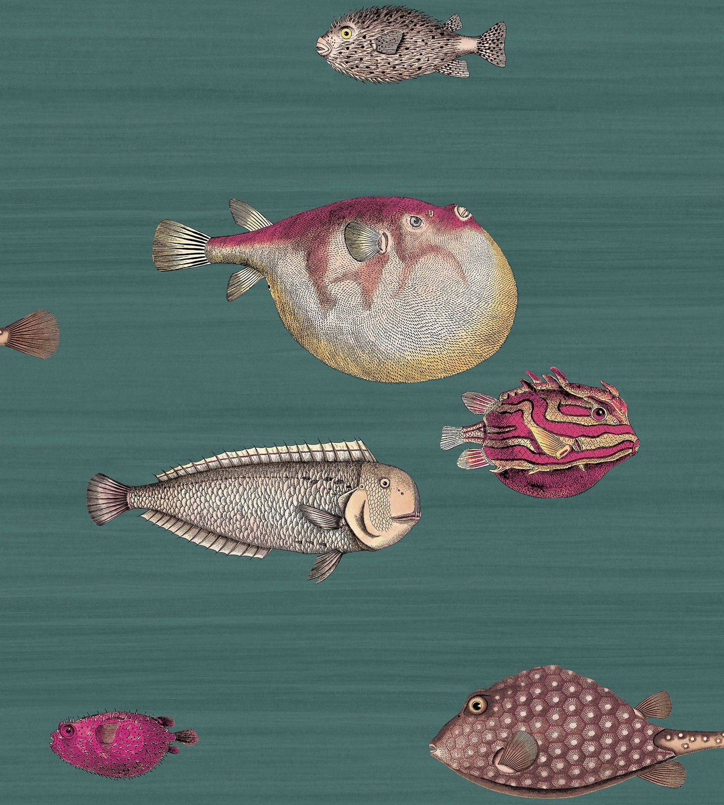 Cole & Son Acquario wallpaper - Dark Viridian