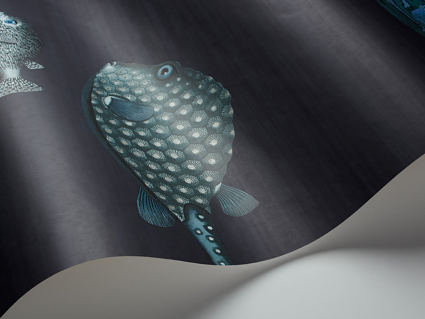 Cole & Son Acquario - interior