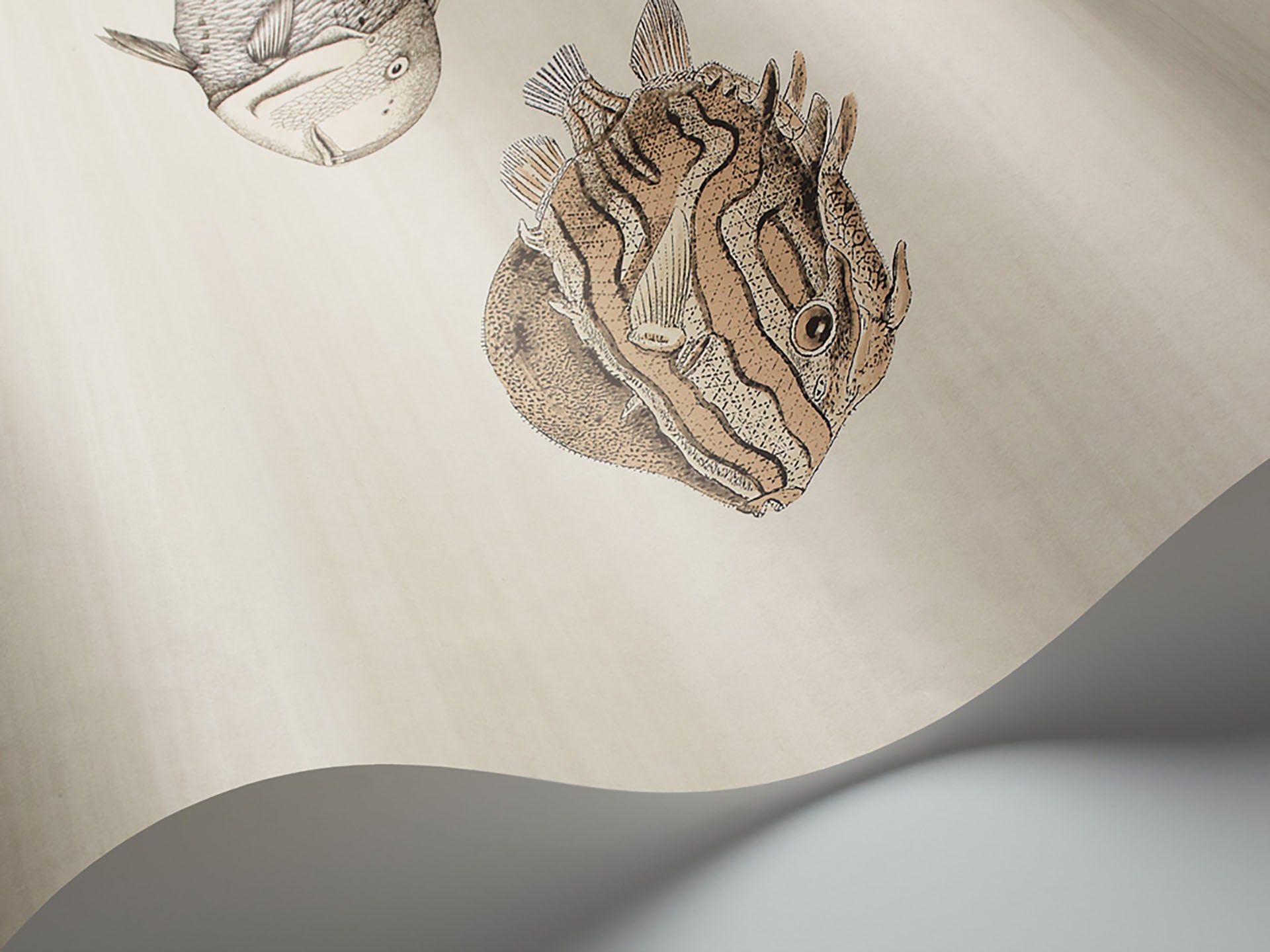 Cole & Son Acquario - interior