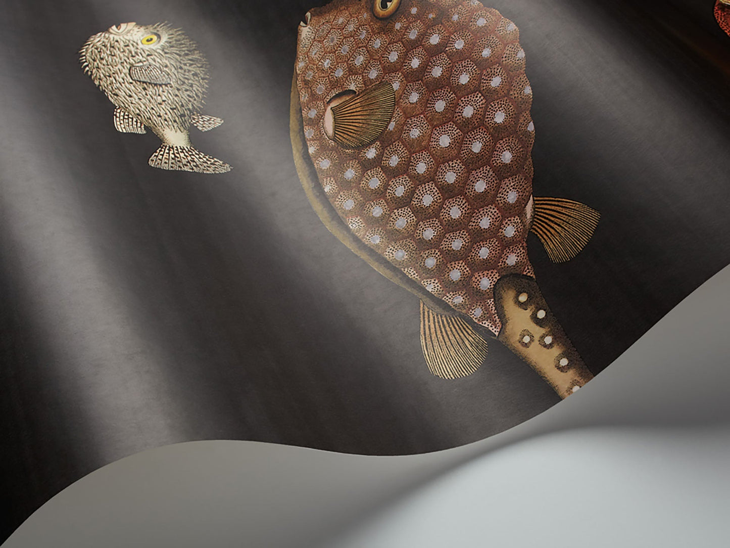 Cole & Son Acquario - interior