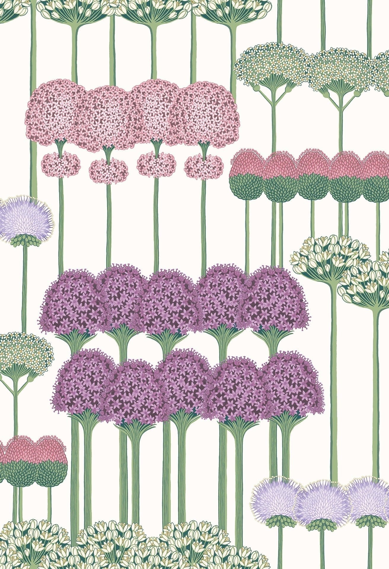 Cole & Son Allium wallpaper - Mulberry, Blush & Lilac on Chalk