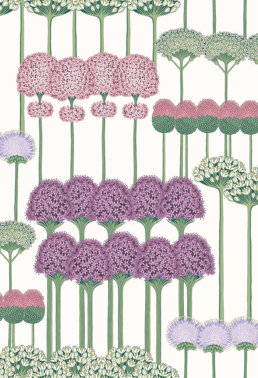 Cole & Son Allium wallpaper - Mulberry, Blush & Lilac on Chalk