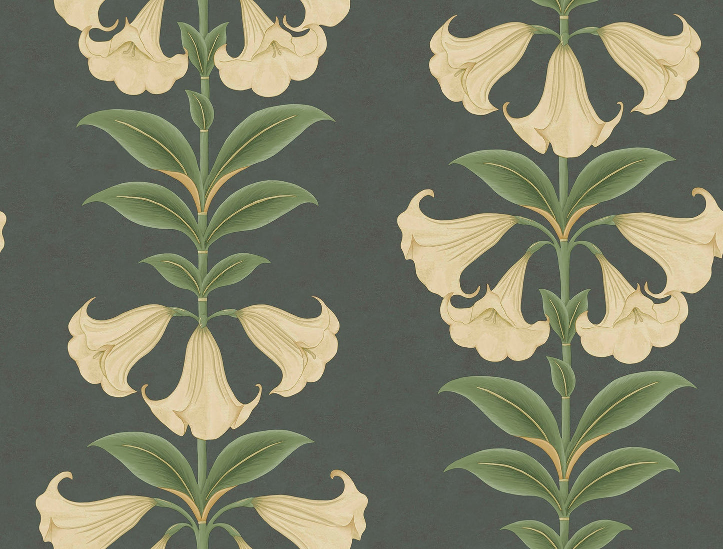 Cole & Son Angel's Trumpet wallpaper - Cream & Olive Green on Charcoal
