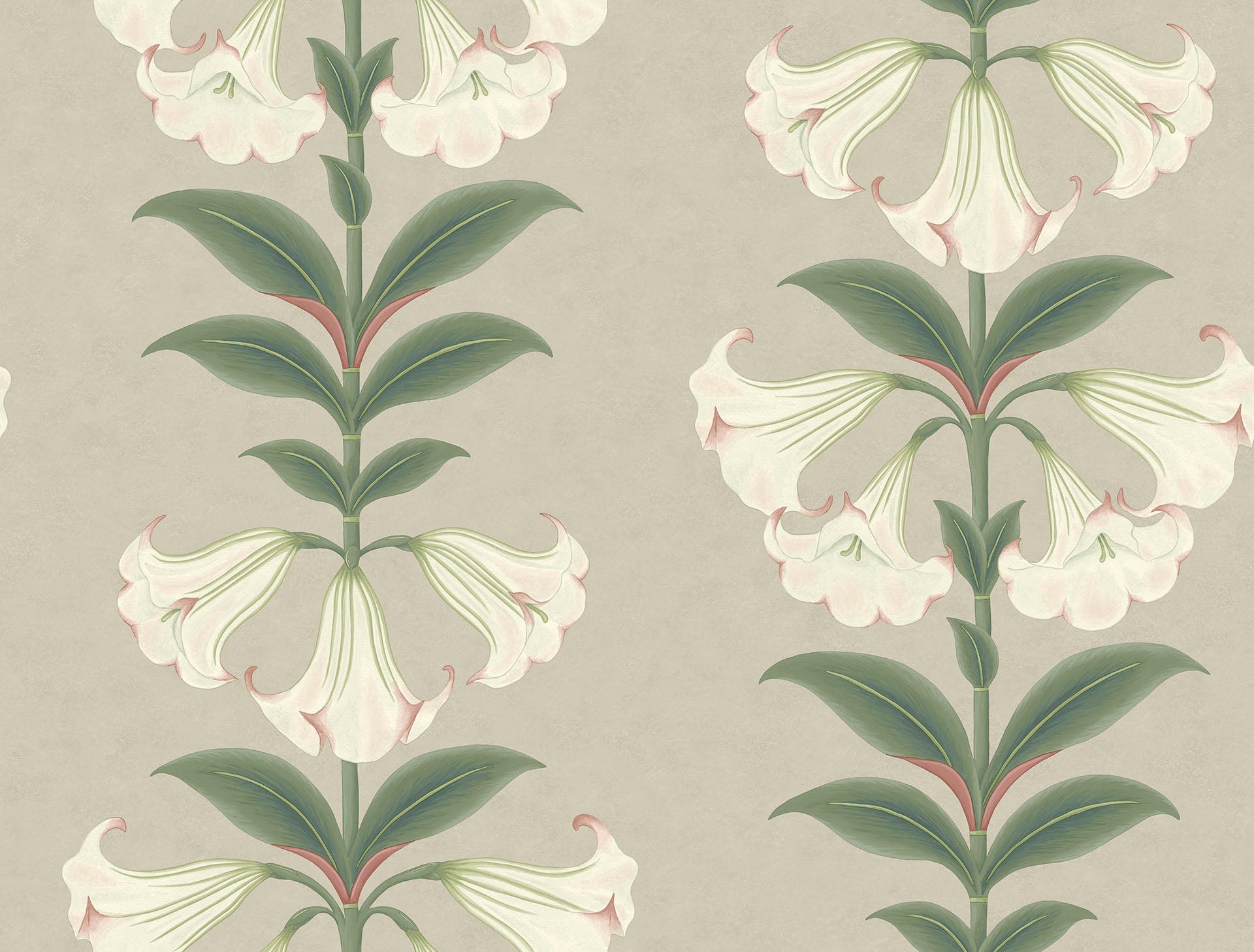 Cole & Son Angel's Trumpet - Chalk & Sage on Stone