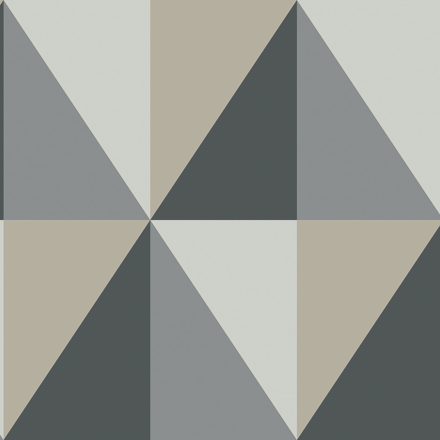 Cole & Son Apex Grand - Grey, Charcoal & Metallic Gilver