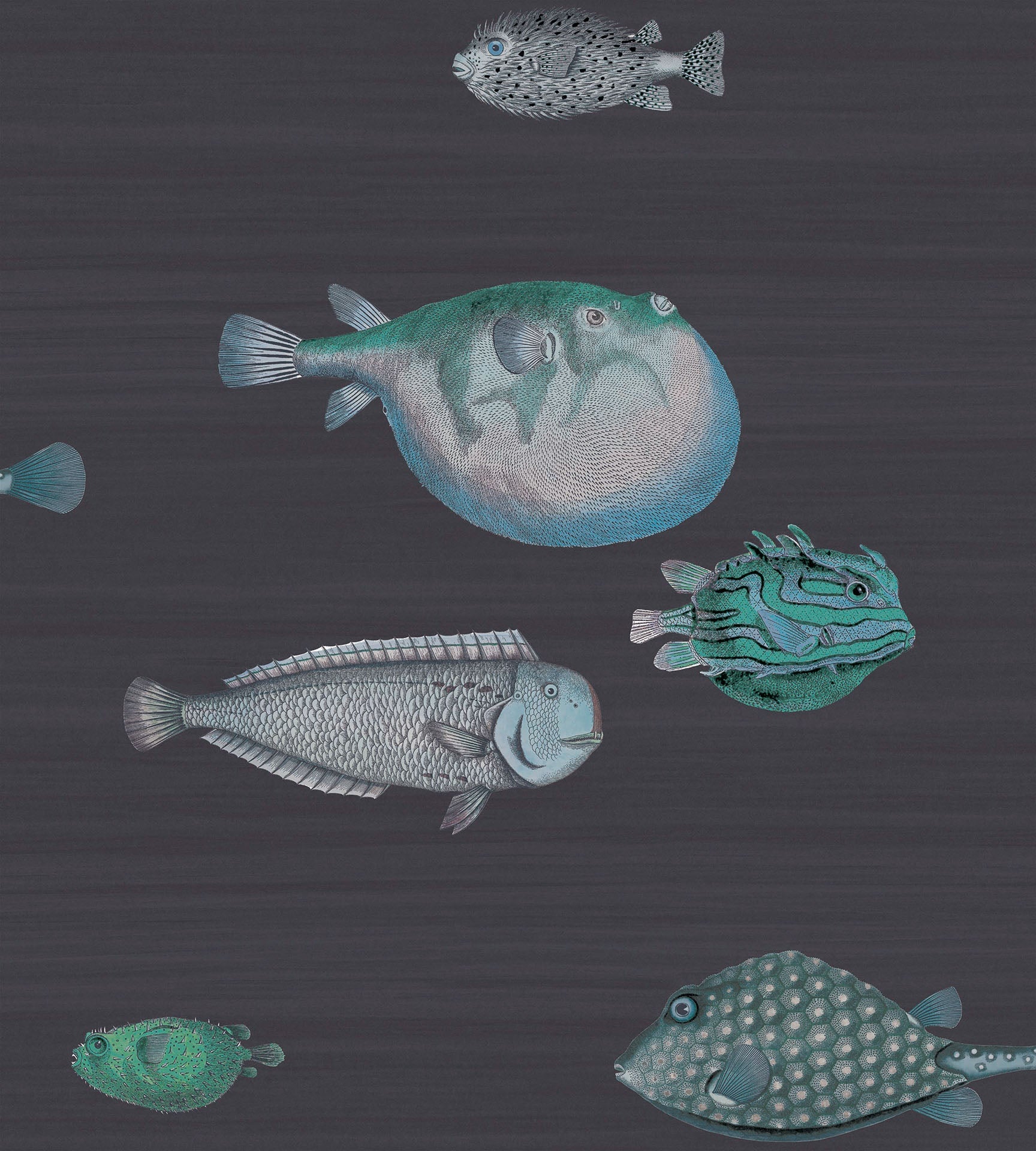 Cole & Son Acquario - Ink