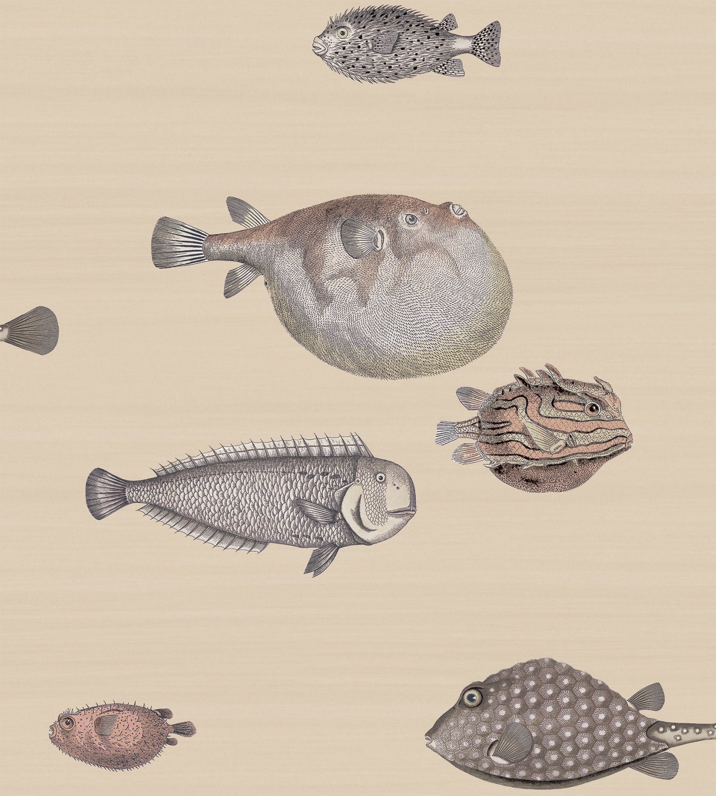 Cole & Son Acquario - Taupe