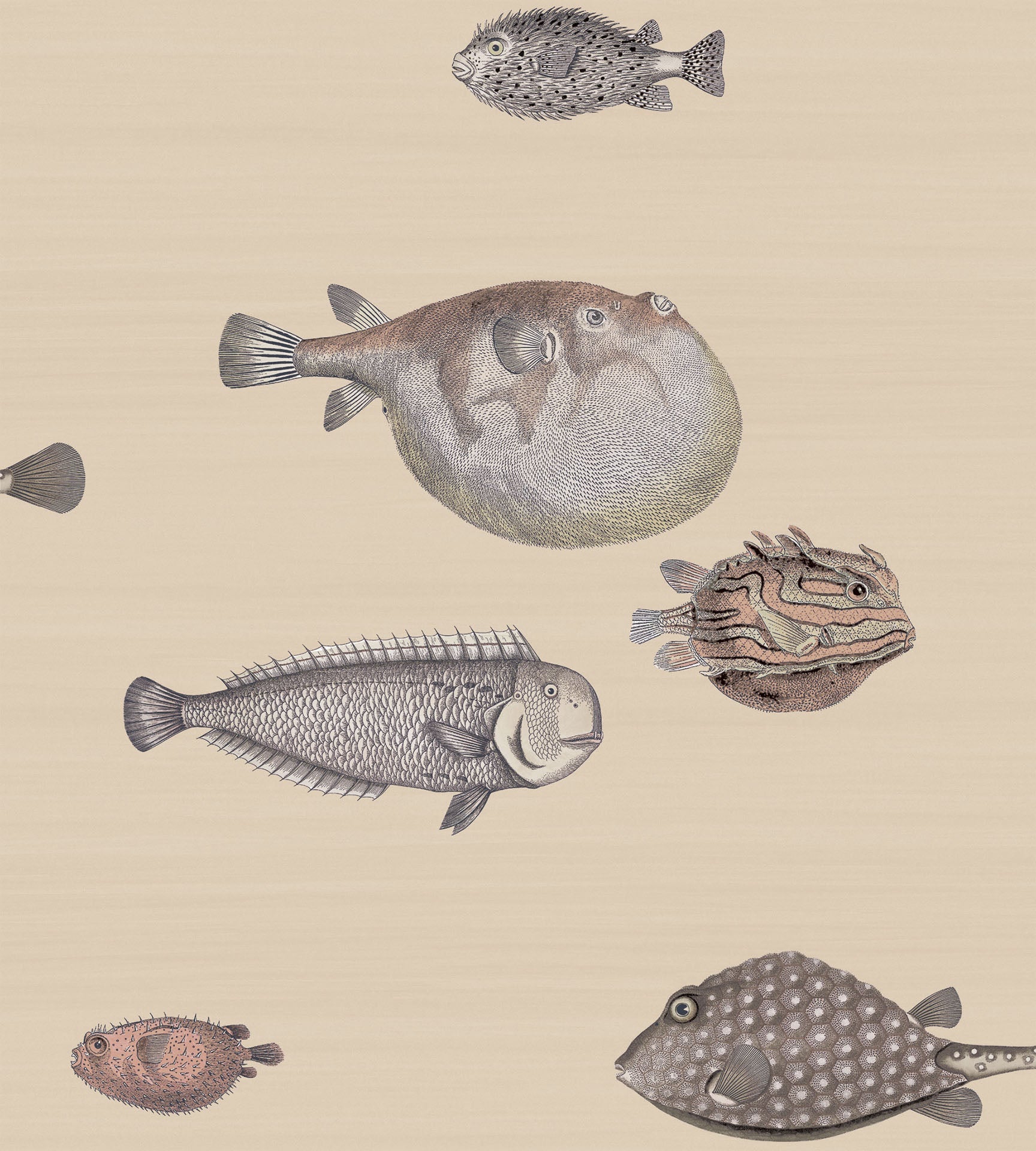 Cole & Son Acquario - Taupe