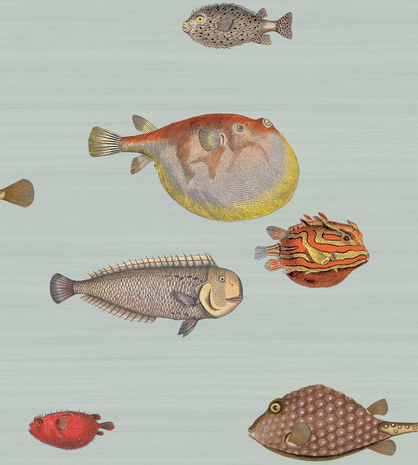 Cole & Son Acquario - Print Room Blue