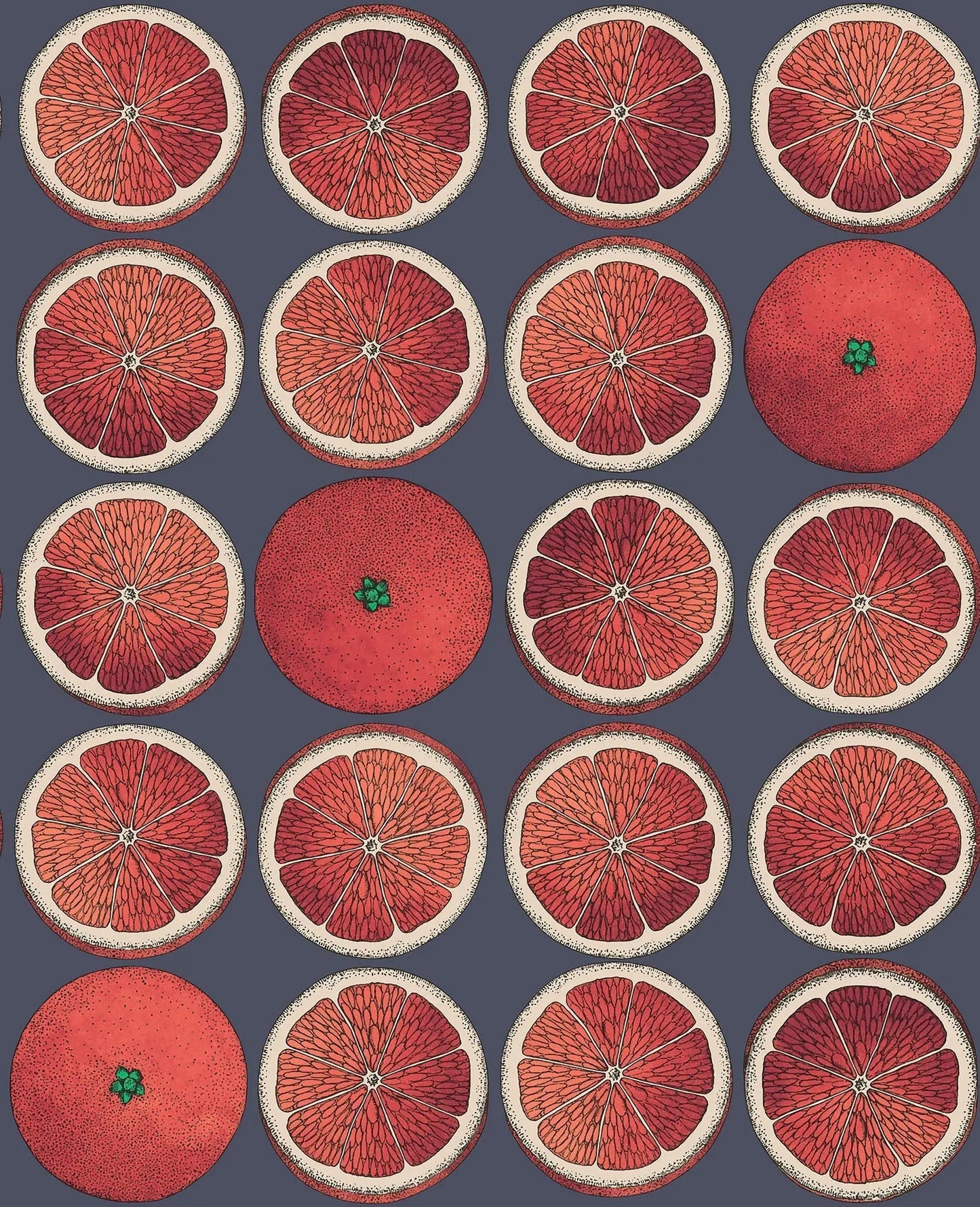 Cole & Son Arance wallpaper - Blood Orange & Ink