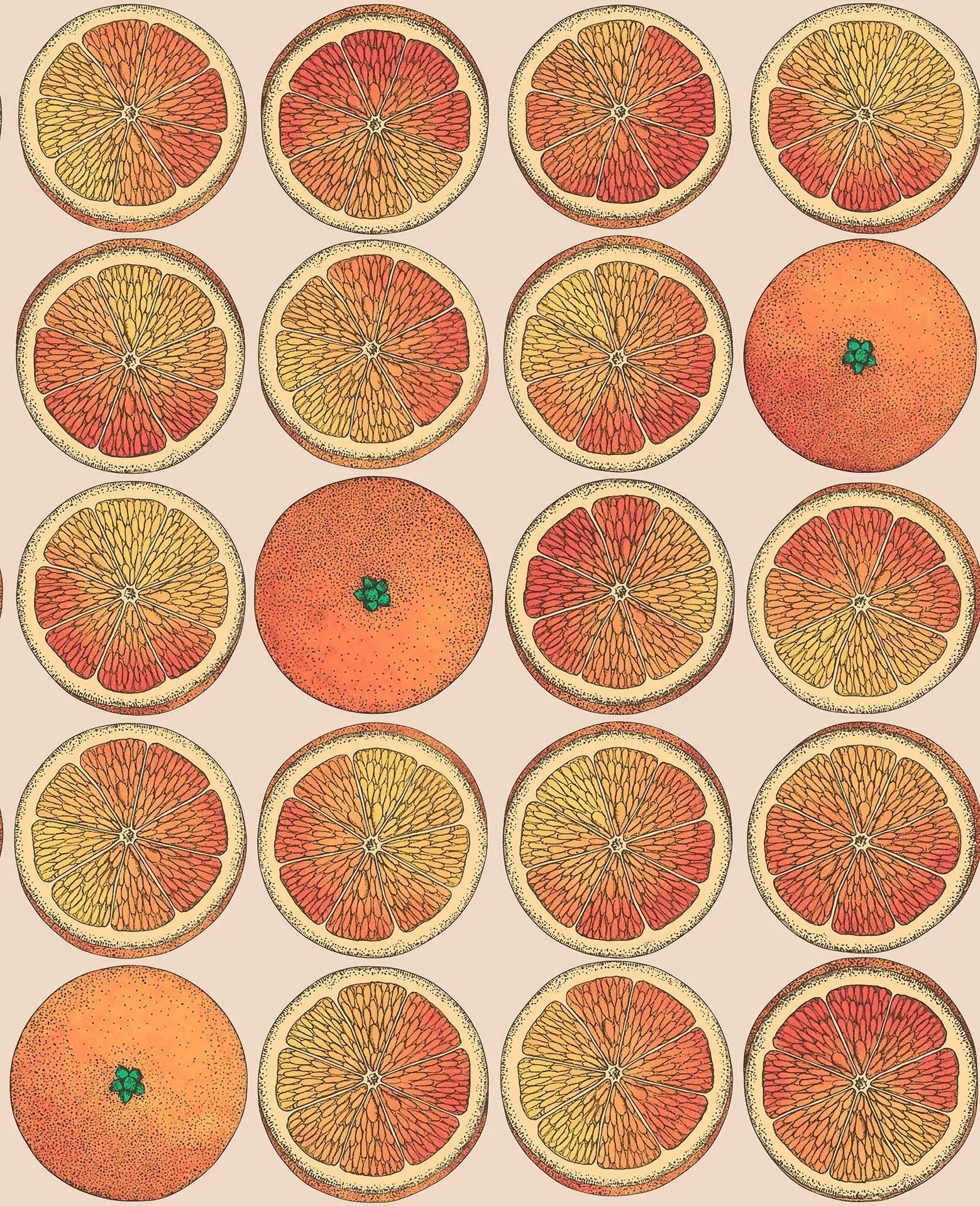 Cole & Son Arance - Orange & Cream