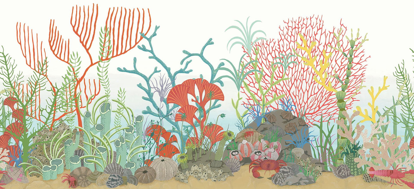 Cole & Son Archipelago Border wallpaper - Archipelago Multi