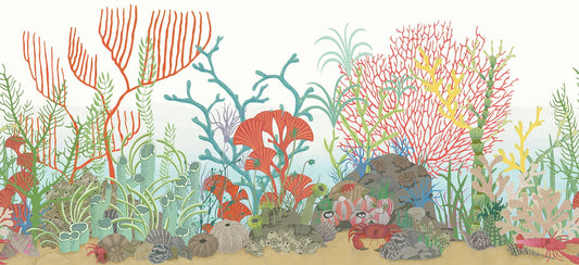 Cole & Son Archipelago Border wallpaper - Archipelago Multi