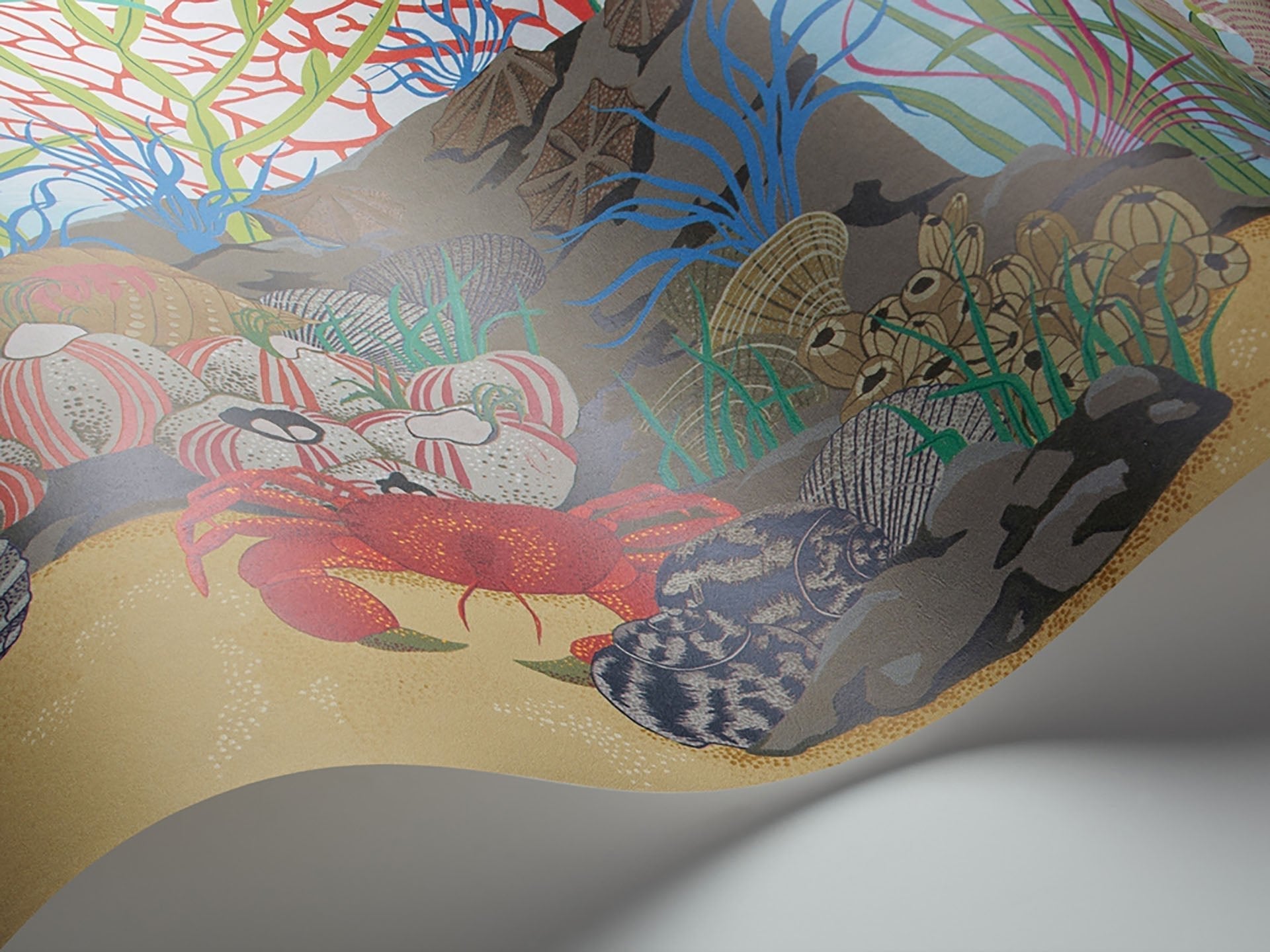 Cole & Son Archipelago Border - interior