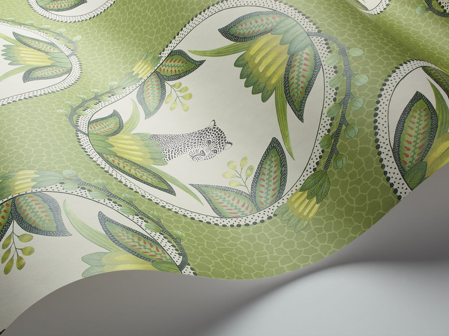 Cole & Son Ardmore Cameos - interior