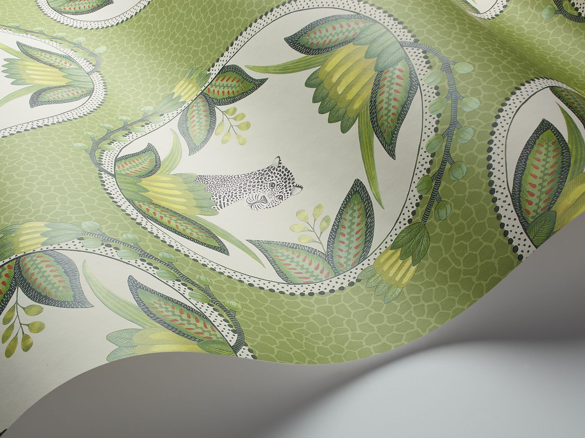 Cole & Son Ardmore Cameos - interior