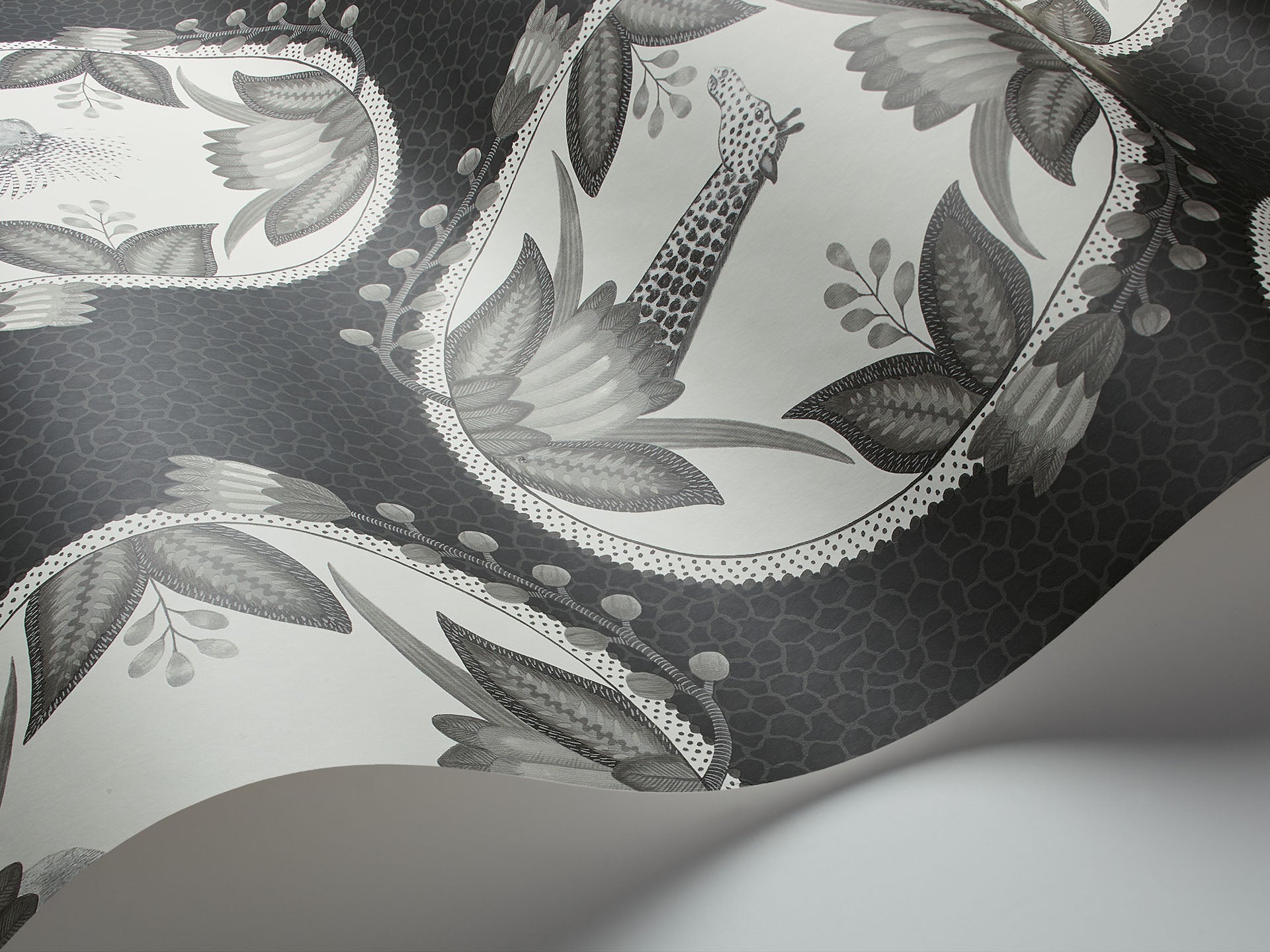 Cole & Son Ardmore Cameos - interior