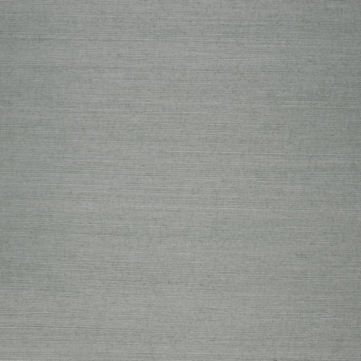 Abaca - BAC117