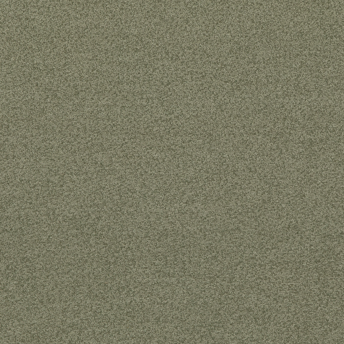 GP & J Baker | Baker House Boucle fabric - Sage