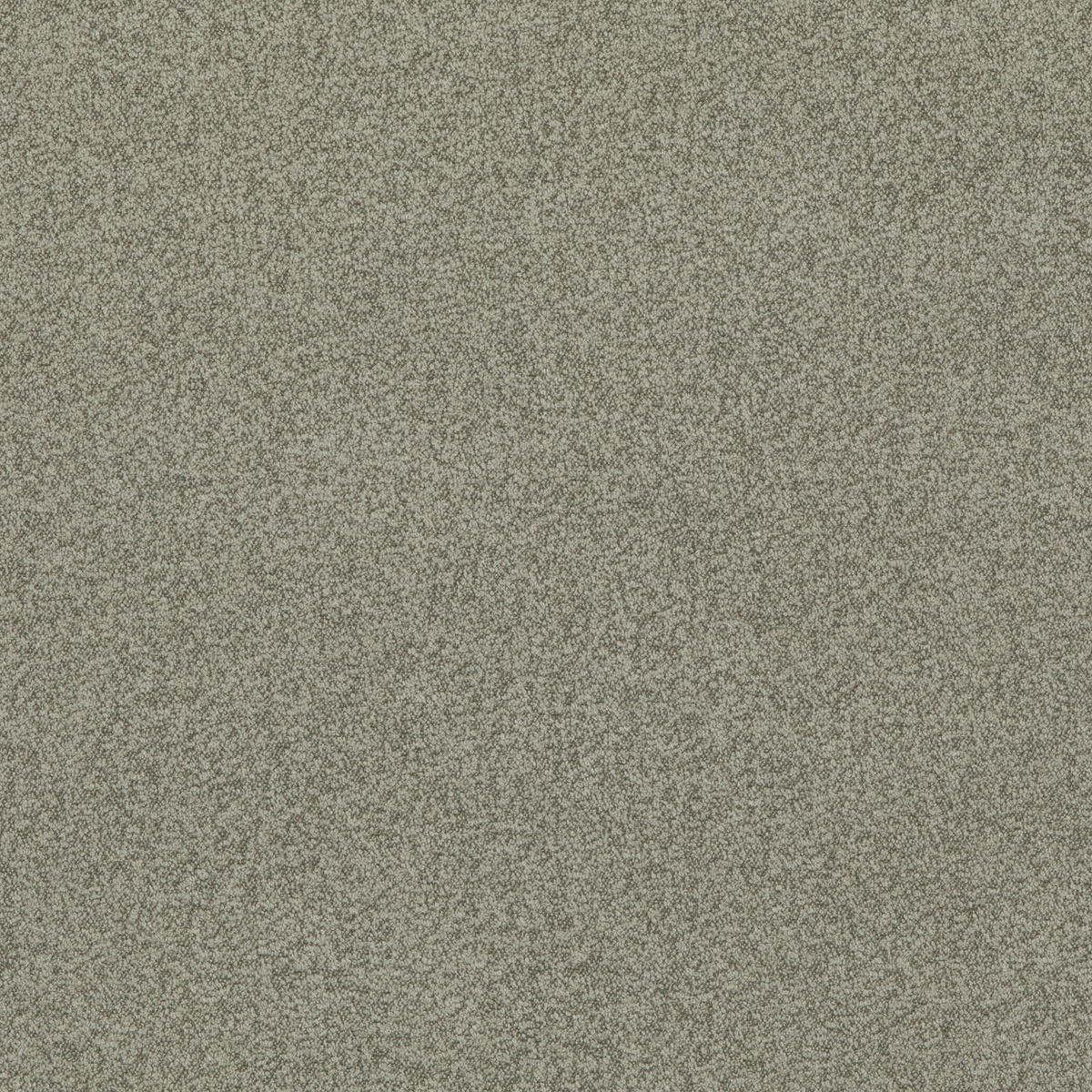 GP & J Baker | Baker House Boucle fabric - Dove