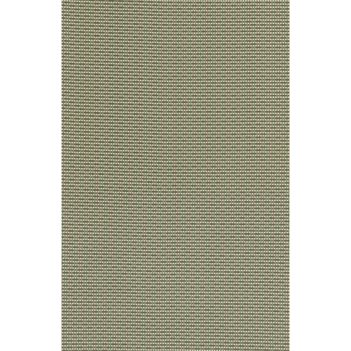 GP & J Baker | Danver Check fabric - Olive
