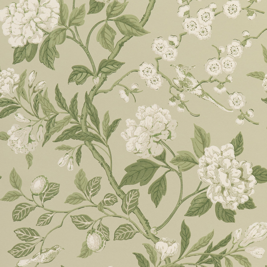 GP & J Baker | Emperor's Garden wallcovering - Soft Green