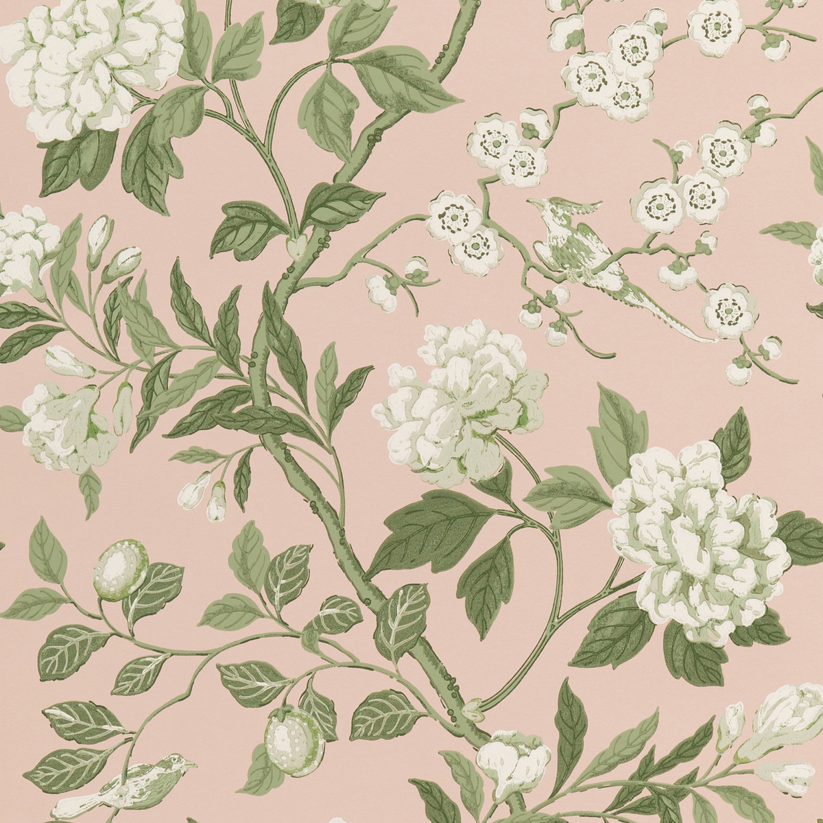 GP & J Baker | Emperor's Garden wallcovering - Blush