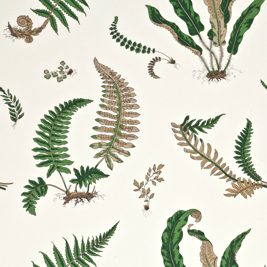 GP & J Baker | Ferns wallcovering - Original Green