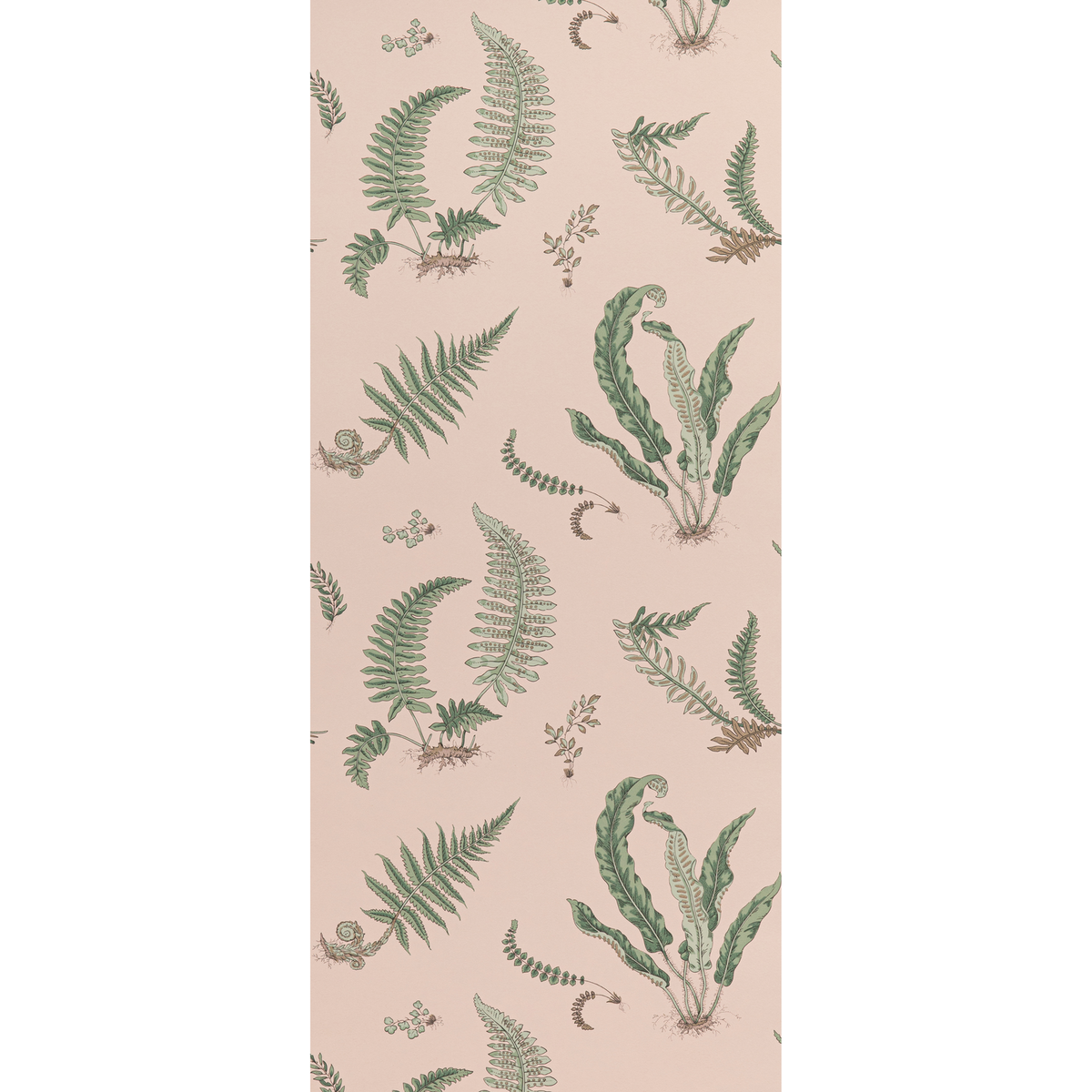 GP & J Baker | Ferns wallcovering - Blush