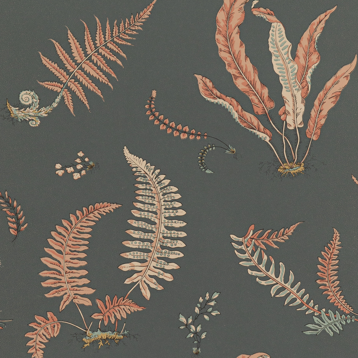 GP & J Baker | Ferns wallcovering - Coral/Charcoal