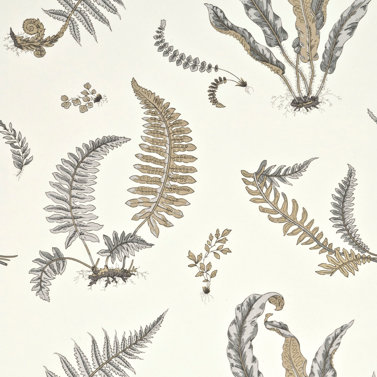GP & J Baker | Ferns wallcovering - Dove Grey/Silver