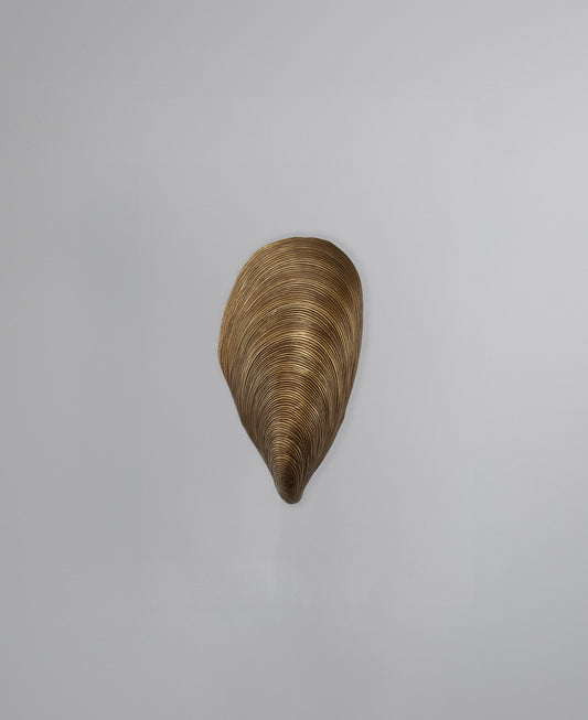 Mussel Shell Bathroom Wall Light - Antique Brass
