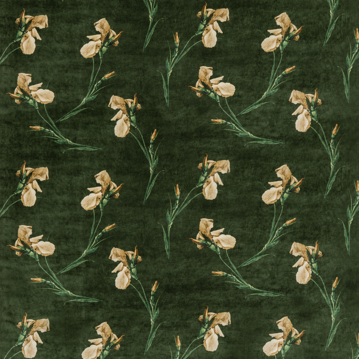 GP & J Baker | Baker Iris fabric - Emerald