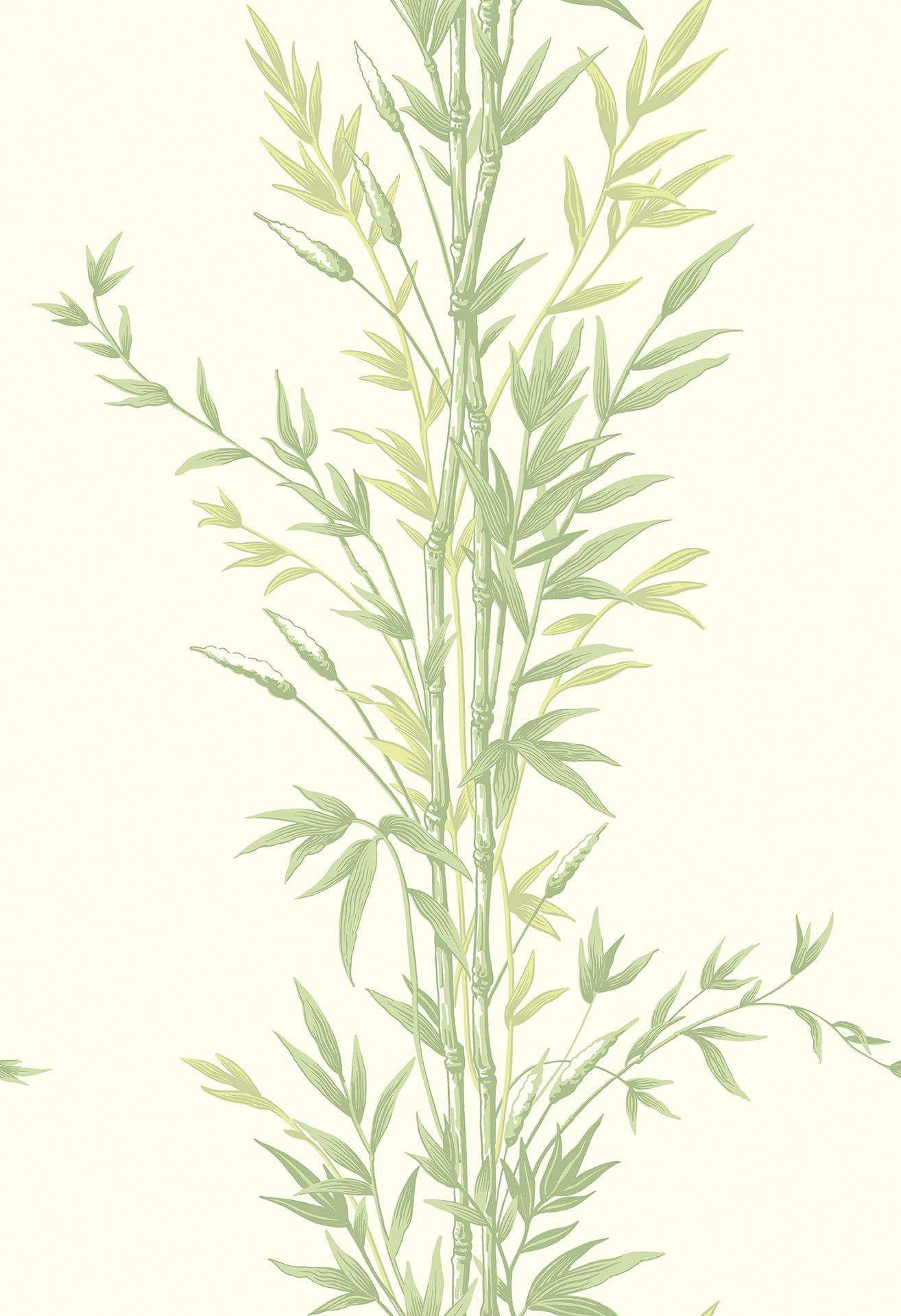 Cole & Son Bamboo - Olive Green on White
