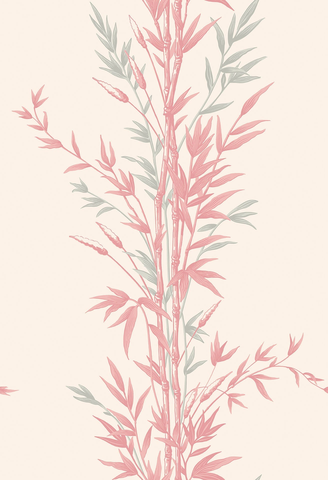 Cole & Son Bamboo - Rose on Parchment